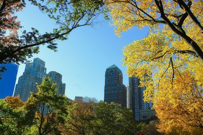 Low angle view of trees and buildings against sky