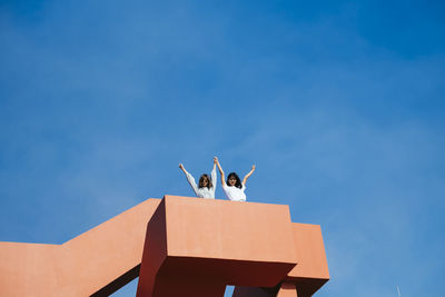 Low angle view of seagulls perching on building