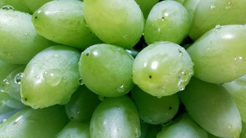 Full frame shot of fruits