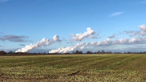 Scenic view of agricultural field against blue sky