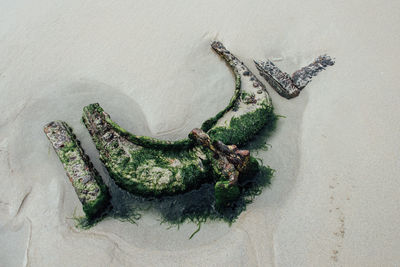 Close-up of boat remains on sand beach