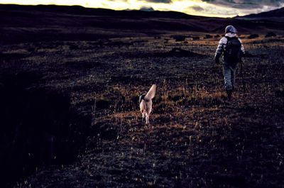 Rear view of man with dog walking on landscape