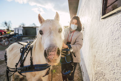 Girl putting harness on horse while standing at stable