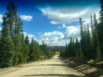 Road amidst trees in forest against sky