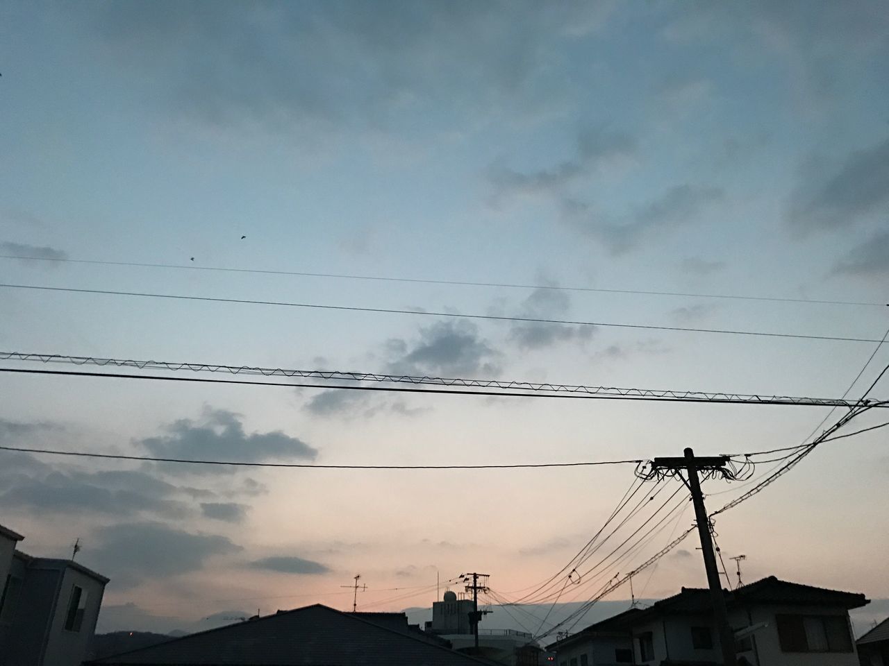 large group of animals, sky, cloud - sky, flock of birds, bird, animal themes, animals in the wild, dusk, flying, electricity, no people, sunset, animal wildlife, low angle view, power line, connection, cable, outdoors, nature, silhouette, beauty in nature, day