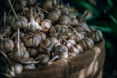 Close-up of fresh vegetables in market