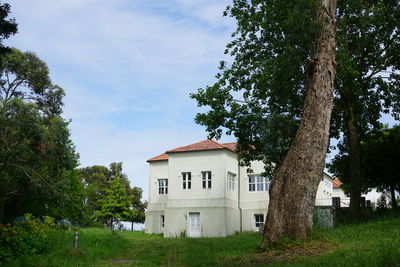 Trees by building against sky