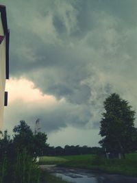 Cloudy sky over trees