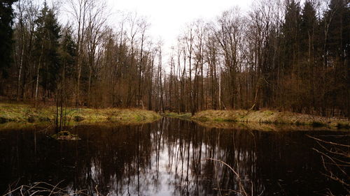 Reflection of trees in lake against sky