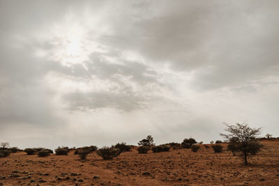 Scenic view of desert against sky