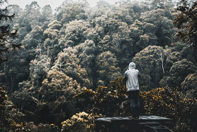 Rear view of man standing by rock against trees