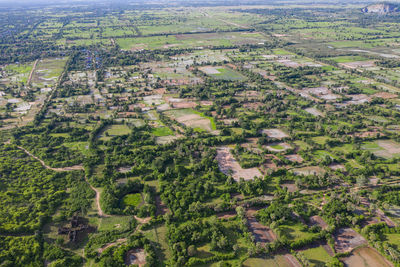 High angle view of agricultural field