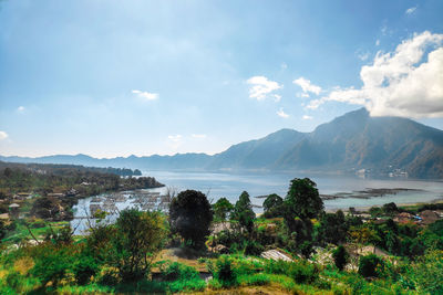 Panoramic shot of sea and trees against sky