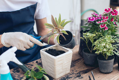 Midsection of florist working on flower pot at shop