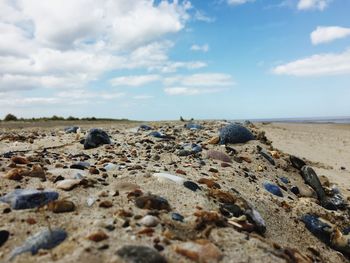 Rocks on beach against sky