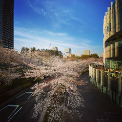 Road by buildings against sky in city