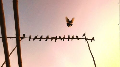 Low angle view of barbed wire