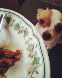 High angle view of food in plate