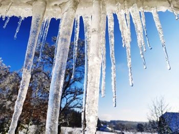 Low angle view of icicles against blue sky