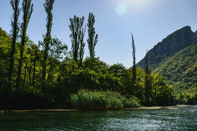 Scenic view of river by trees against sky