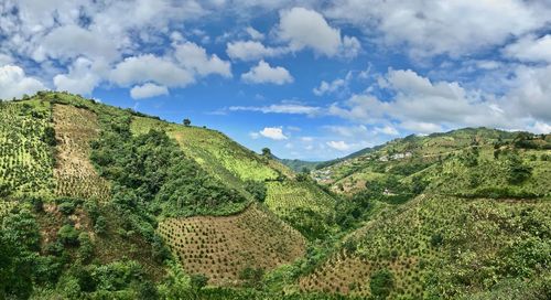 Scenic view of landscape against sky