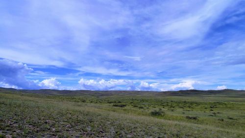 Scenic view of field against sky