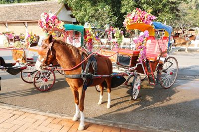 People riding horse cart