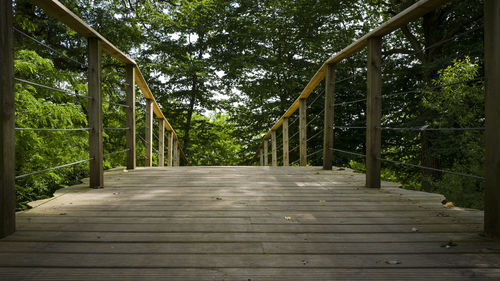 Footbridge in forest