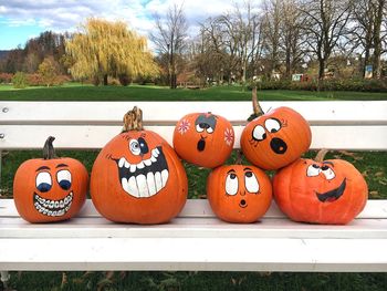 View of pumpkins in park during autumn