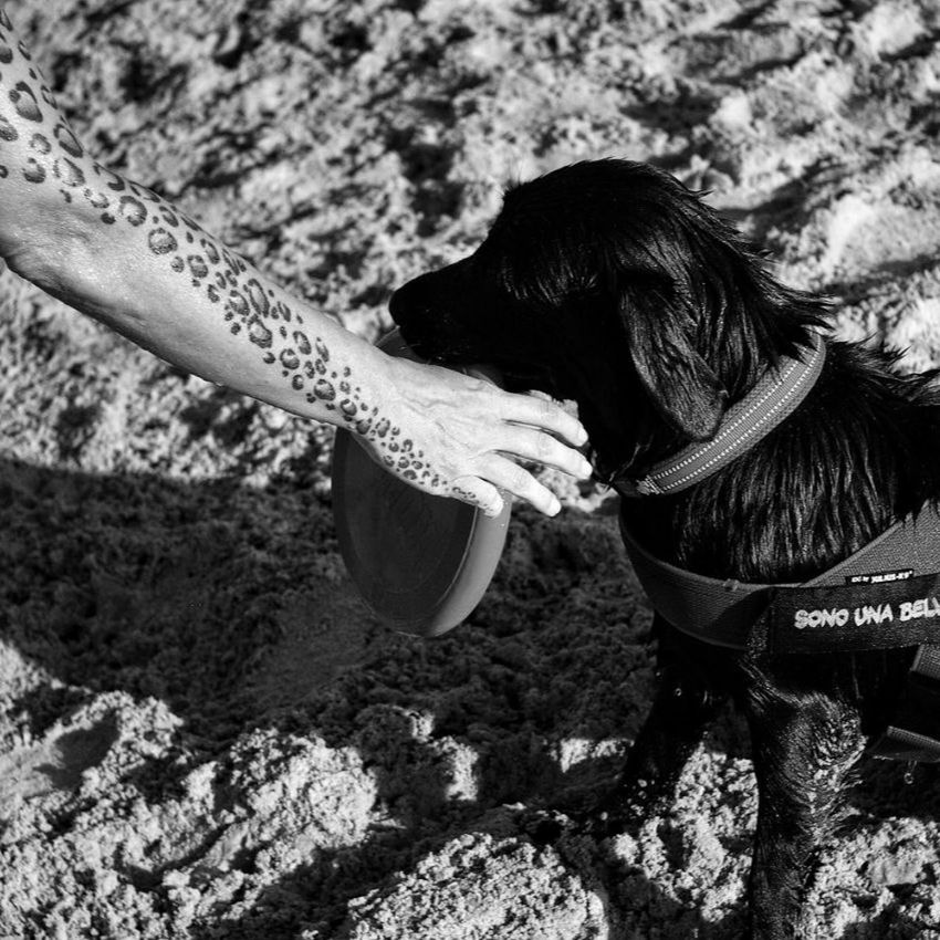 black, black and white, animal, one animal, monochrome photography, animal themes, monochrome, mammal, domestic animals, pet, day, nature, one person, dog, high angle view, land, canine, outdoors, sunlight, leisure activity, white, women, adult, lifestyles, field, rock