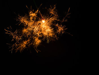 Close-up of firework display over black background