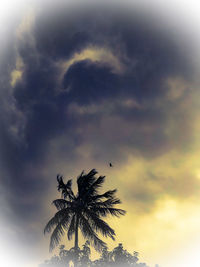 Low angle view of silhouette coconut palm tree against sky