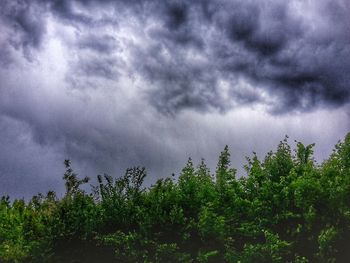 Low angle view of trees against cloudy sky