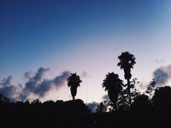 Low angle view of silhouette trees against sky