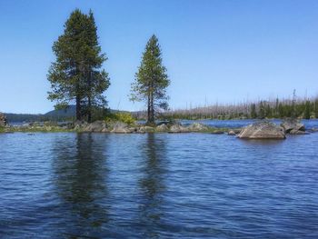 Scenic view of lake against clear blue sky