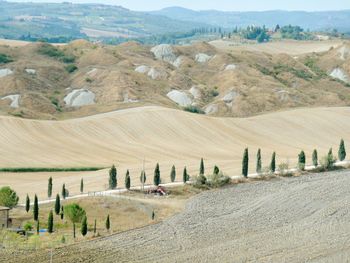 Scenic view of agricultural field