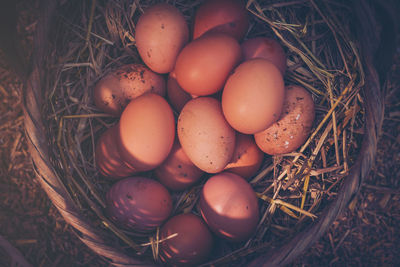 Directly above shot of eggs in container