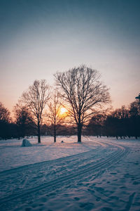 Bare trees on snow covered field during sunset