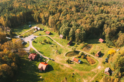 High angle view of plants on field