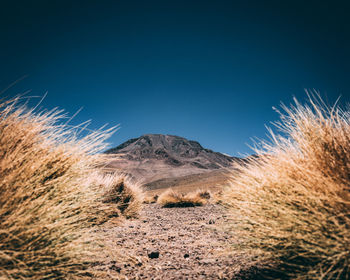 Low angle view of land against clear blue sky