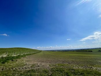 Scenic view of field against blue sky