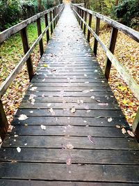 Boardwalk leading to wooden footbridge