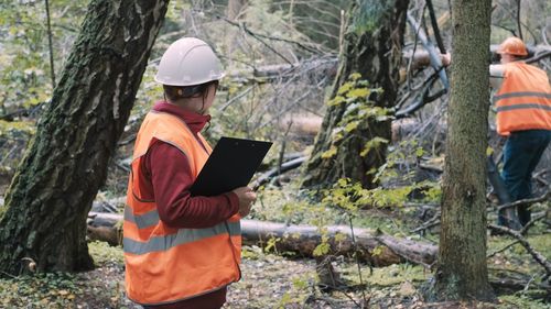 Rear view of man using mobile phone while standing in forest