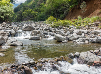 Scenic view of river in forest against sky