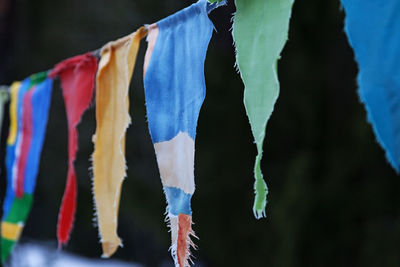 Close-up of clothes drying on wood