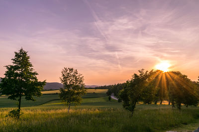 Scenic view of field against sky at sunset