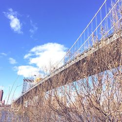 Low angle view of built structure against blue sky