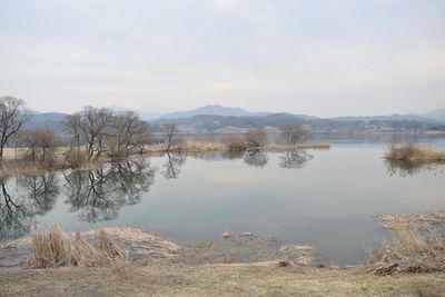 Reflection of trees in lake against sky