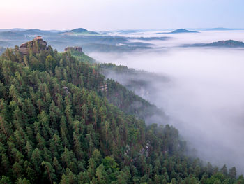 Morning view to misty swiss bohemian landscape during sunrise.  misty valley, czech republic. 