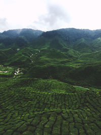 Scenic view of agricultural landscape against sky